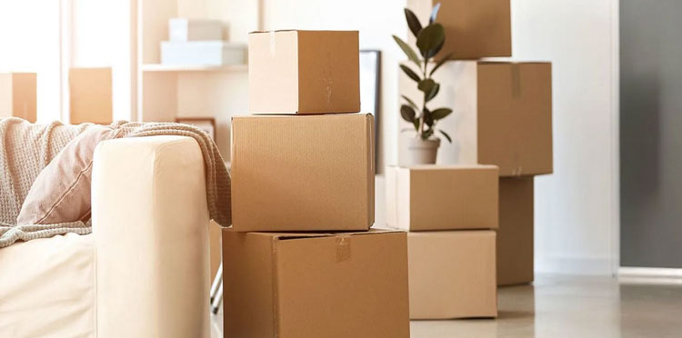 Logistics & Packers Movers 