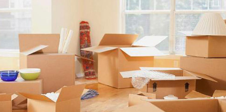 Packers and Movers Services